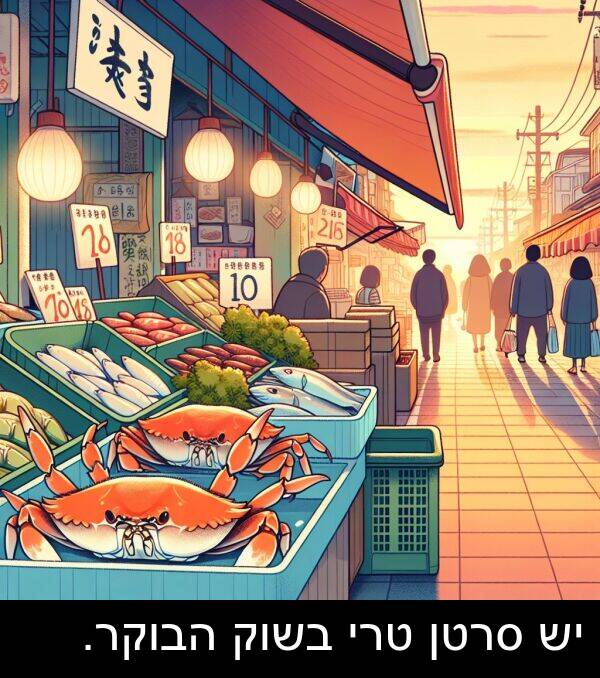 טרי: יש סרטן טרי בשוק הבוקר.