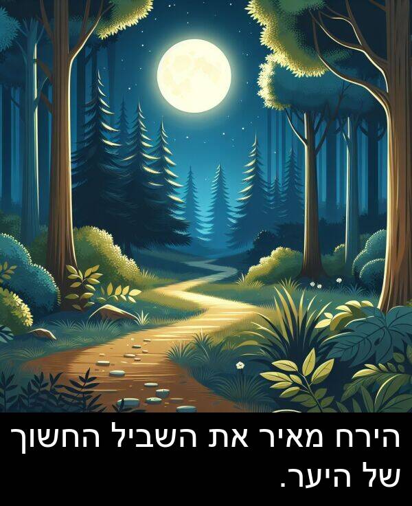 היער: הירח מאיר את השביל החשוך של היער.