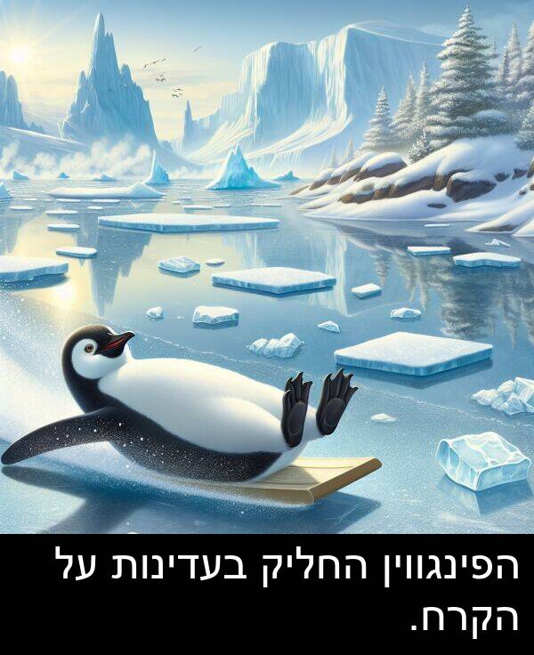 הפינגווין: הפינגווין החליק בעדינות על הקרח.
