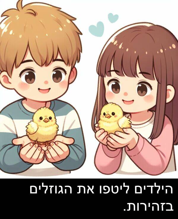 הגוזלים: הילדים ליטפו את הגוזלים בזהירות.