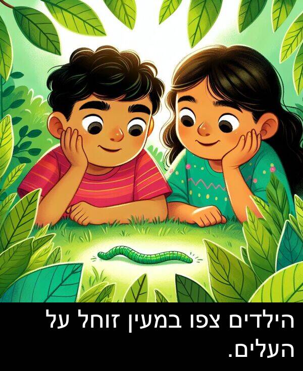 זוחל: הילדים צפו במעין זוחל על העלים.
