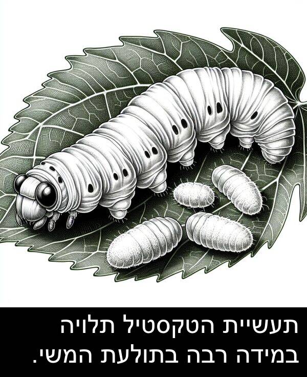תלויה: תעשיית הטקסטיל תלויה במידה רבה בתולעת המשי.