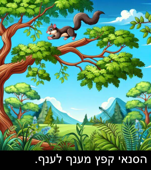 קפץ: הסנאי קפץ מענף לענף.