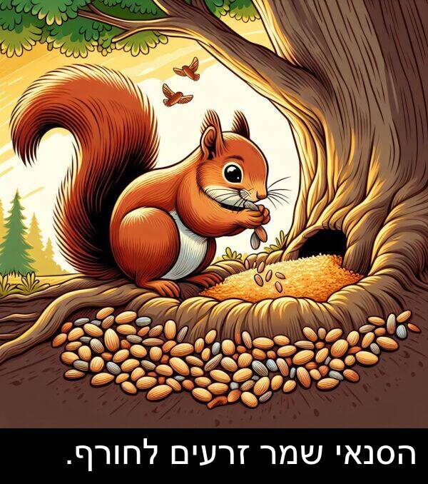 הסנאי: הסנאי שמר זרעים לחורף.