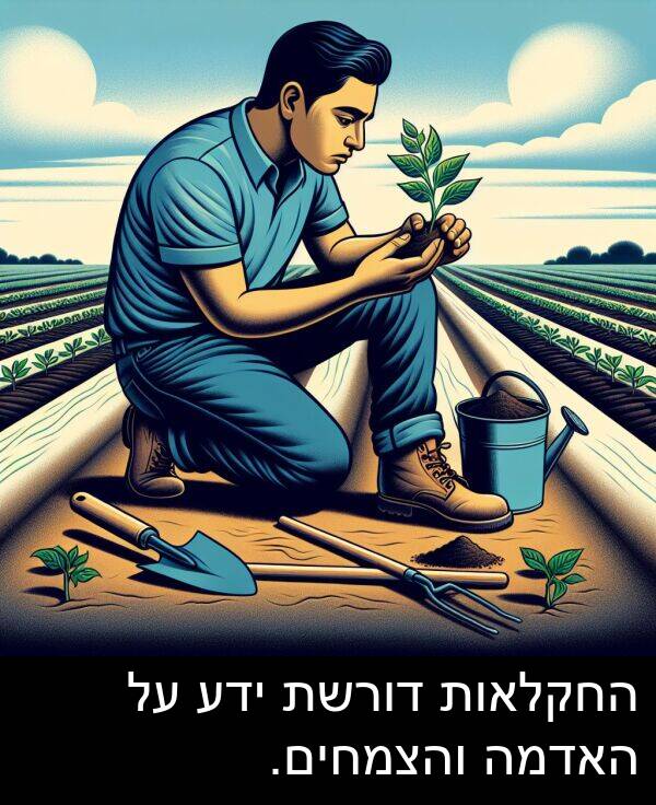 דורשת: החקלאות דורשת ידע על האדמה והצמחים.