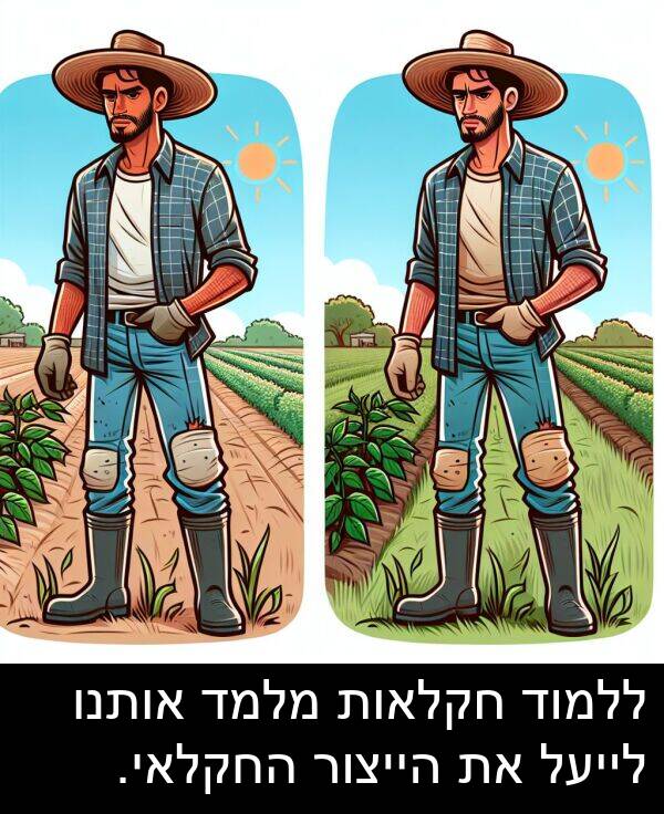 אותנו: ללמוד חקלאות מלמד אותנו לייעל את הייצור החקלאי.