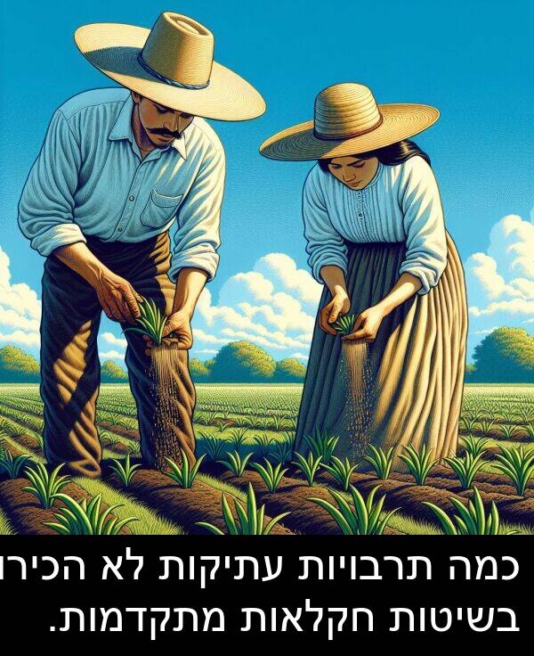 תרבויות: כמה תרבויות עתיקות לא הכירו בשיטות חקלאות מתקדמות.