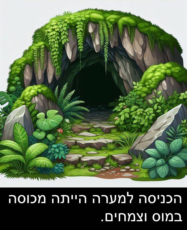 במוס: הכניסה למערה הייתה מכוסה במוס וצמחים.