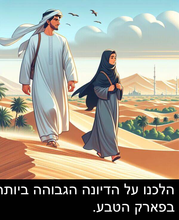 הדיונה: הלכנו על הדיונה הגבוהה ביותר בפארק הטבע.