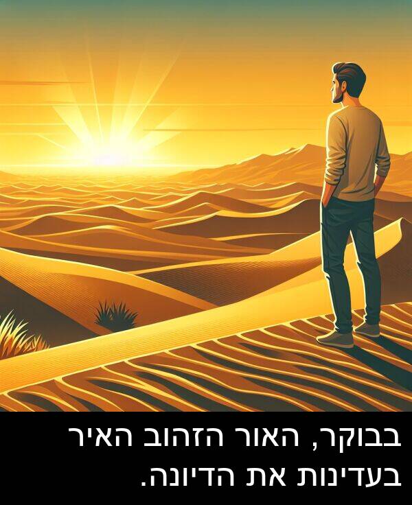 בבוקר: בבוקר, האור הזהוב האיר בעדינות את הדיונה.