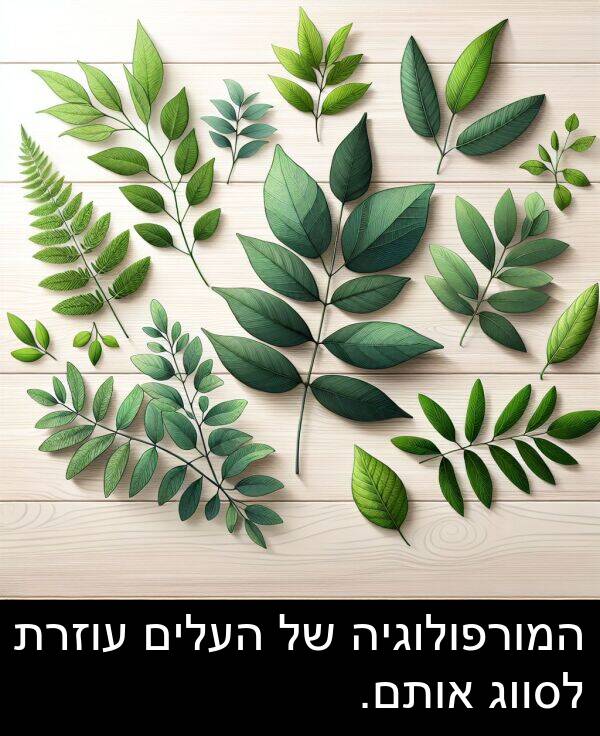 עוזרת: המורפולוגיה של העלים עוזרת לסווג אותם.