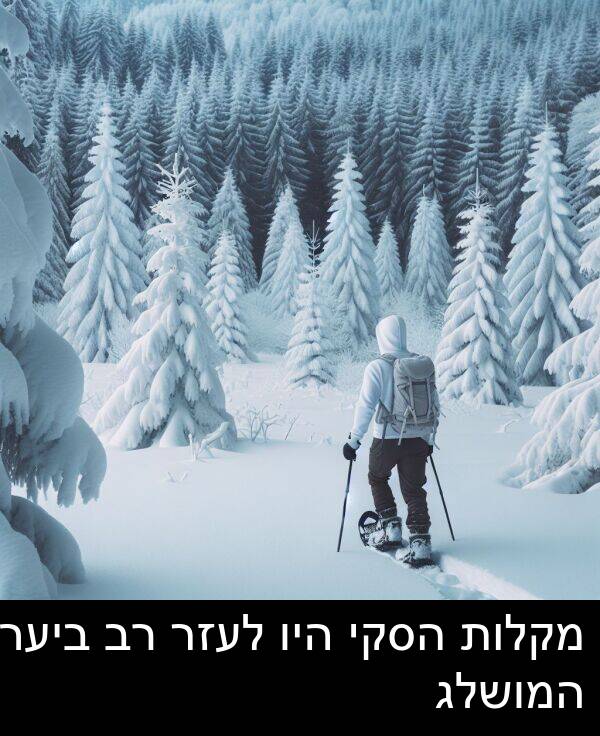 מקלות: מקלות הסקי היו לעזר רב ביער המושלג