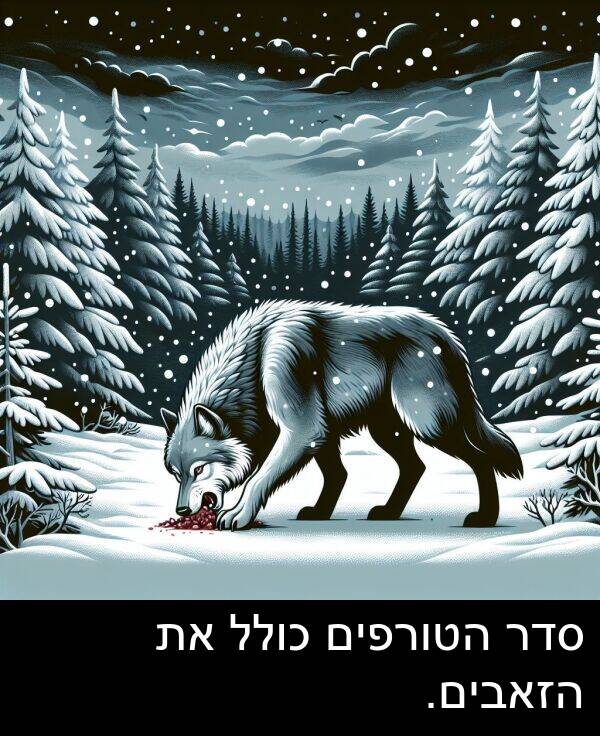 סדר: סדר הטורפים כולל את הזאבים.
