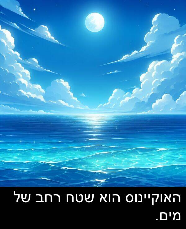 מים: האוקיינוס הוא שטח רחב של מים.