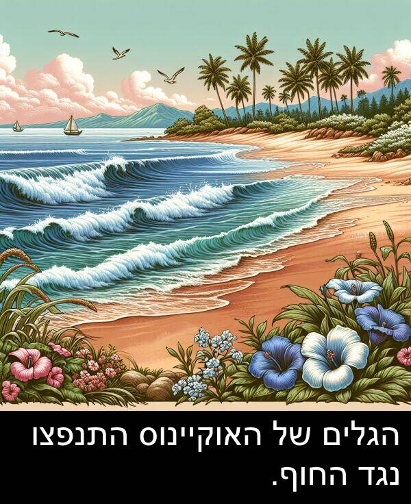 נגד: הגלים של האוקיינוס התנפצו נגד החוף.