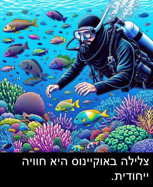 באוקיינוס: צלילה באוקיינוס היא חוויה ייחודית.