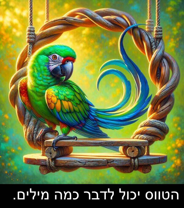 יכול: הטווס יכול לדבר כמה מילים.