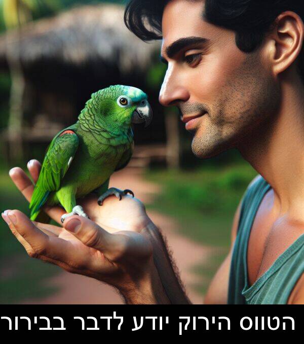 יודע: הטווס הירוק יודע לדבר בבירור.