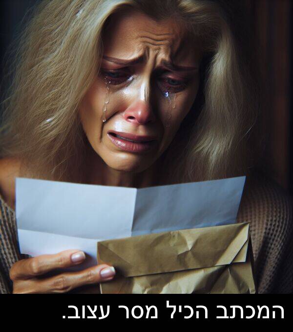 עצוב: המכתב הכיל מסר עצוב.