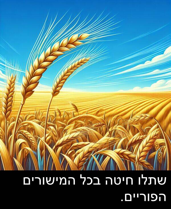הפוריים: שתלו חיטה בכל המישורים הפוריים.