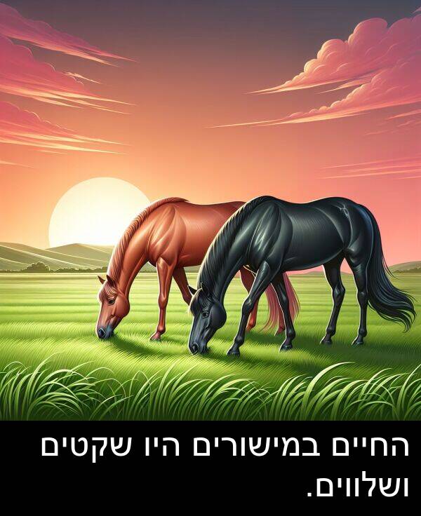 ושלווים: החיים במישורים היו שקטים ושלווים.