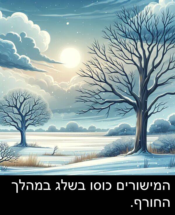 החורף: המישורים כוסו בשלג במהלך החורף.