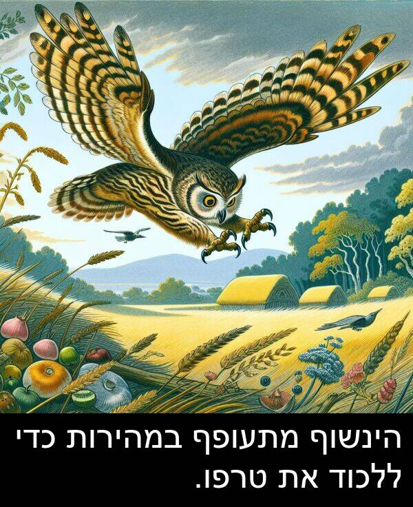 הינשוף: הינשוף מתעופף במהירות כדי ללכוד את טרפו.