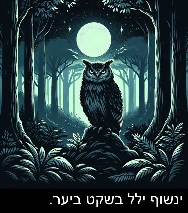 ילל: ינשוף ילל בשקט ביער.