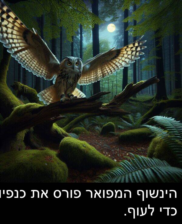 פורס: הינשוף המפואר פורס את כנפיו כדי לעוף.