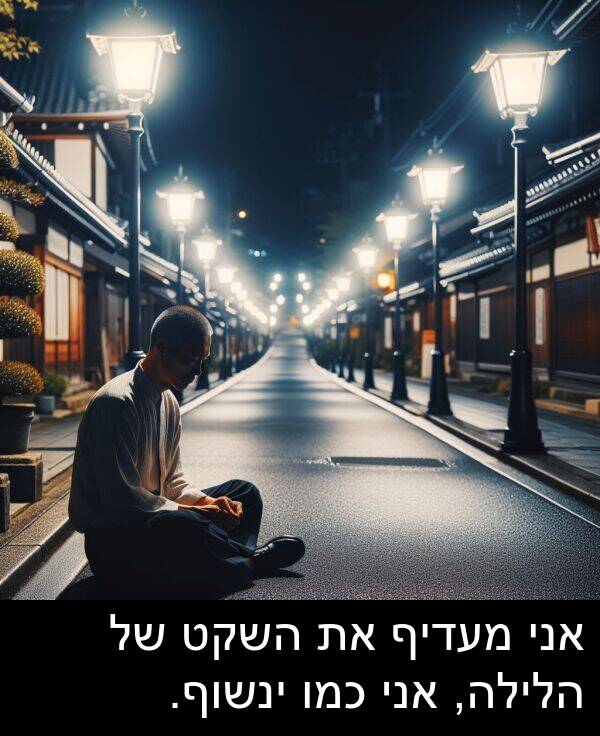 ינשוף: אני מעדיף את השקט של הלילה, אני כמו ינשוף.