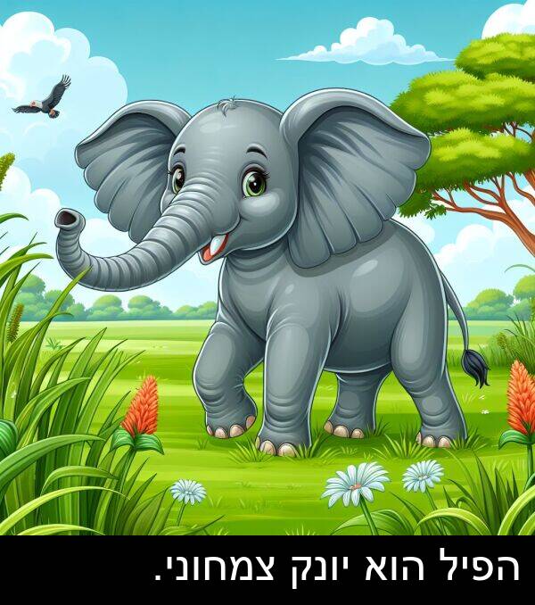 צמחוני: הפיל הוא יונק צמחוני.