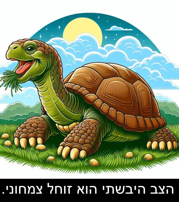 צמחוני: הצב היבשתי הוא זוחל צמחוני.