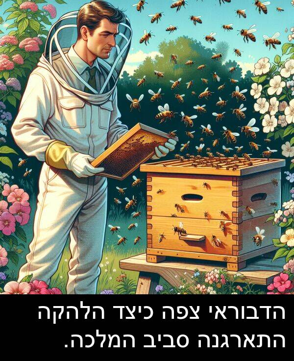 סביב: הדבוראי צפה כיצד הלהקה התארגנה סביב המלכה.
