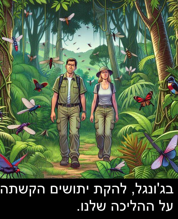 שלנו: בג'ונגל, להקת יתושים הקשתה על ההליכה שלנו.