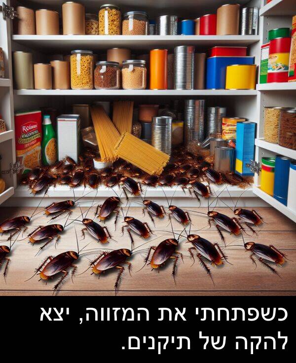 תיקנים: כשפתחתי את המזווה, יצא להקה של תיקנים.
