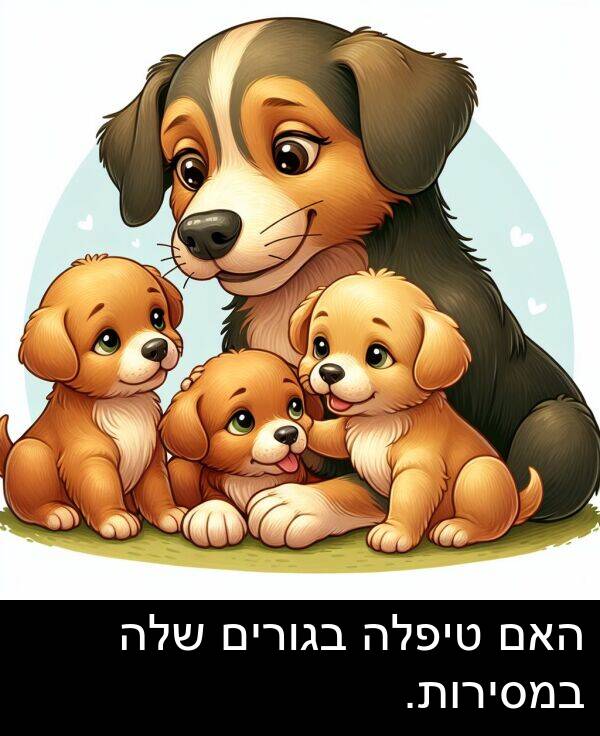טיפלה: האם טיפלה בגורים שלה במסירות.