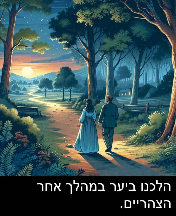 אחר: הלכנו ביער במהלך אחר הצהריים.