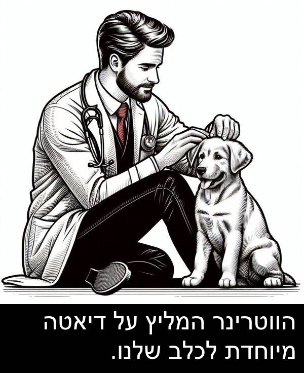 דיאטה: הווטרינר המליץ על דיאטה מיוחדת לכלב שלנו.