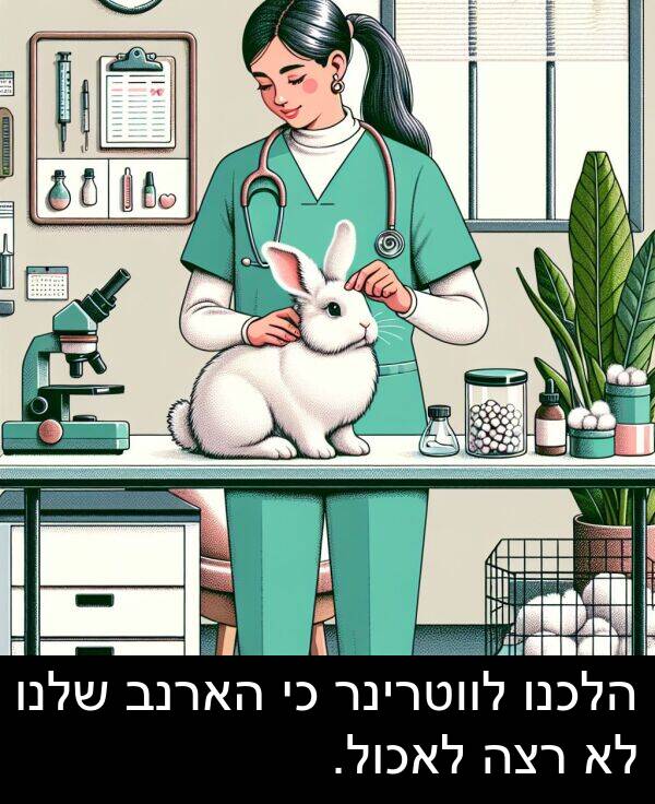 שלנו: הלכנו לווטרינר כי הארנב שלנו לא רצה לאכול.