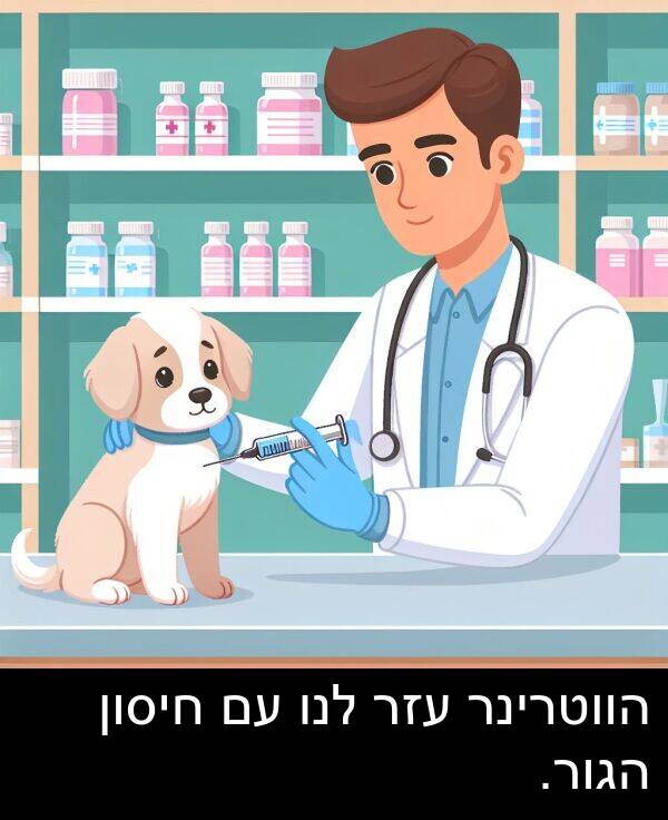 עזר: הווטרינר עזר לנו עם חיסון הגור.