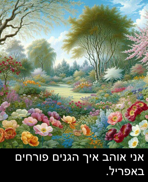 באפריל: אני אוהב איך הגנים פורחים באפריל.