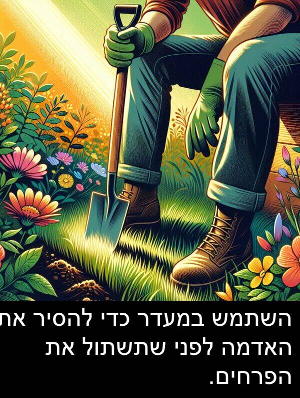 במעדר: השתמש במעדר כדי להסיר את האדמה לפני שתשתול את הפרחים.