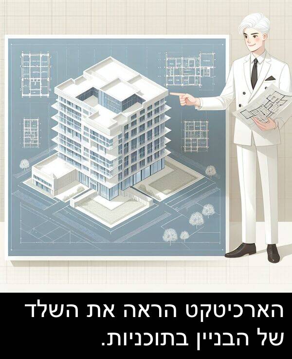 השלד: הארכיטקט הראה את השלד של הבניין בתוכניות.
