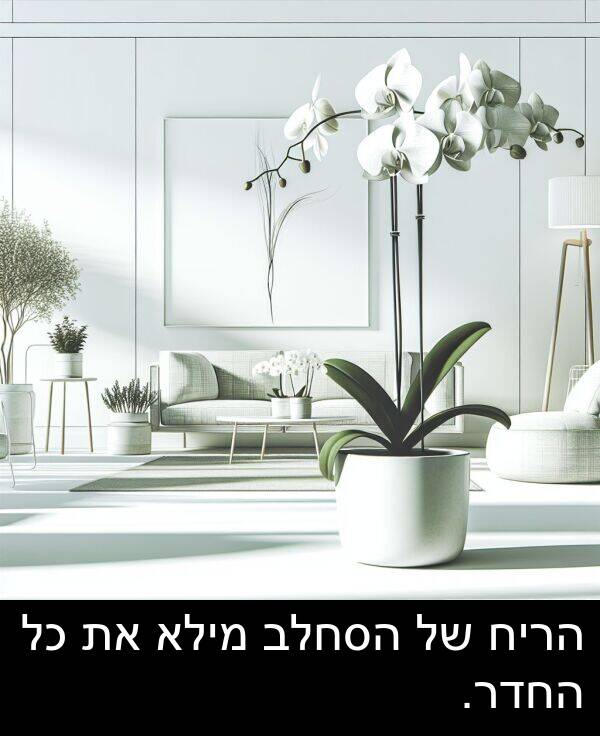 הסחלב: הריח של הסחלב מילא את כל החדר.