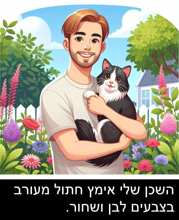 אימץ: השכן שלי אימץ חתול מעורב בצבעים לבן ושחור.