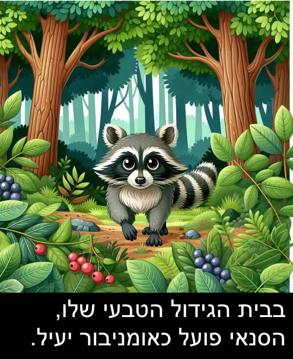 פועל: בבית הגידול הטבעי שלו, הסנאי פועל כאומניבור יעיל.