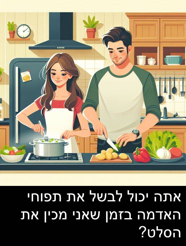 תפוחי: אתה יכול לבשל את תפוחי האדמה בזמן שאני מכין את הסלט?