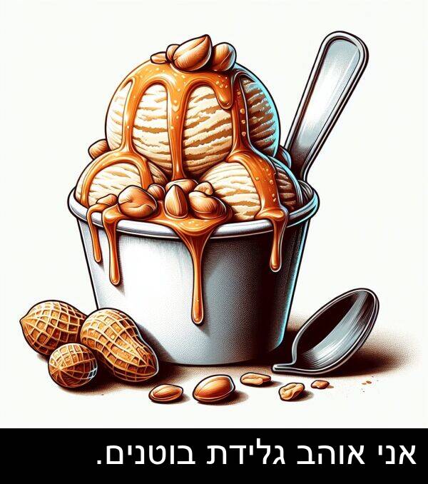 אוהב: אני אוהב גלידת בוטנים.