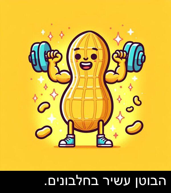 עשיר: הבוטן עשיר בחלבונים.