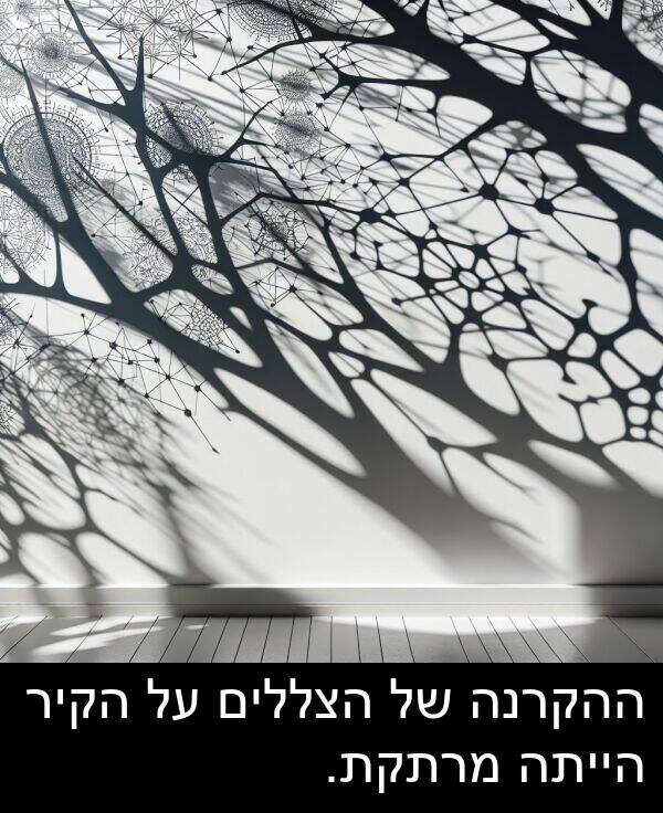 מרתקת: ההקרנה של הצללים על הקיר הייתה מרתקת.